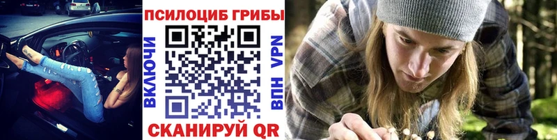 Псилоцибиновые грибы прущие грибы  где продают наркотики  Кизилюрт 