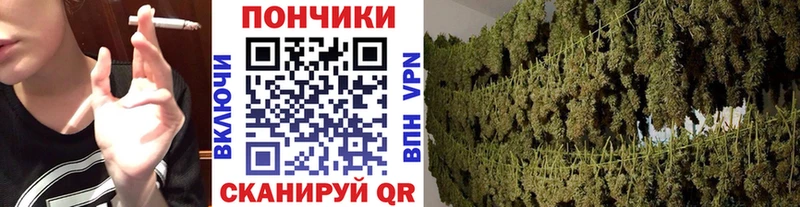 KRAKEN ссылки Кизилюрт Шишки марихуана план